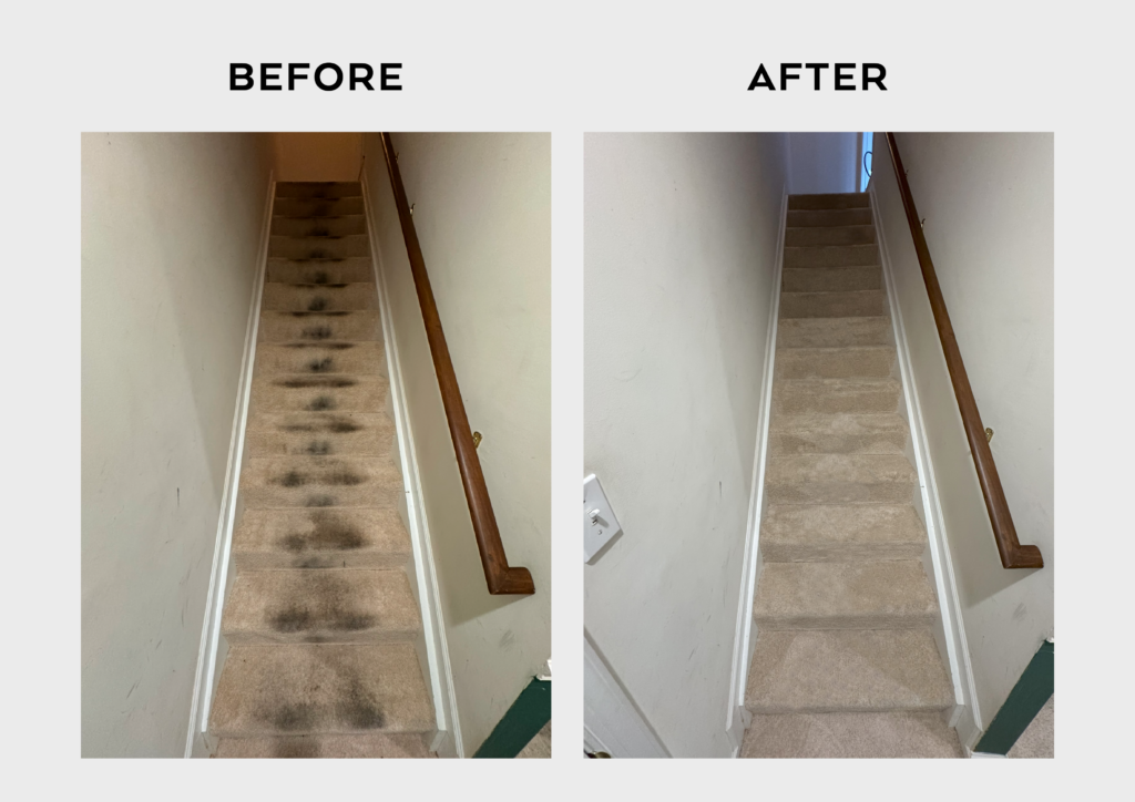 Carpet Cleaning in Spencerville MD