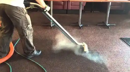 Steam Cleaning Services