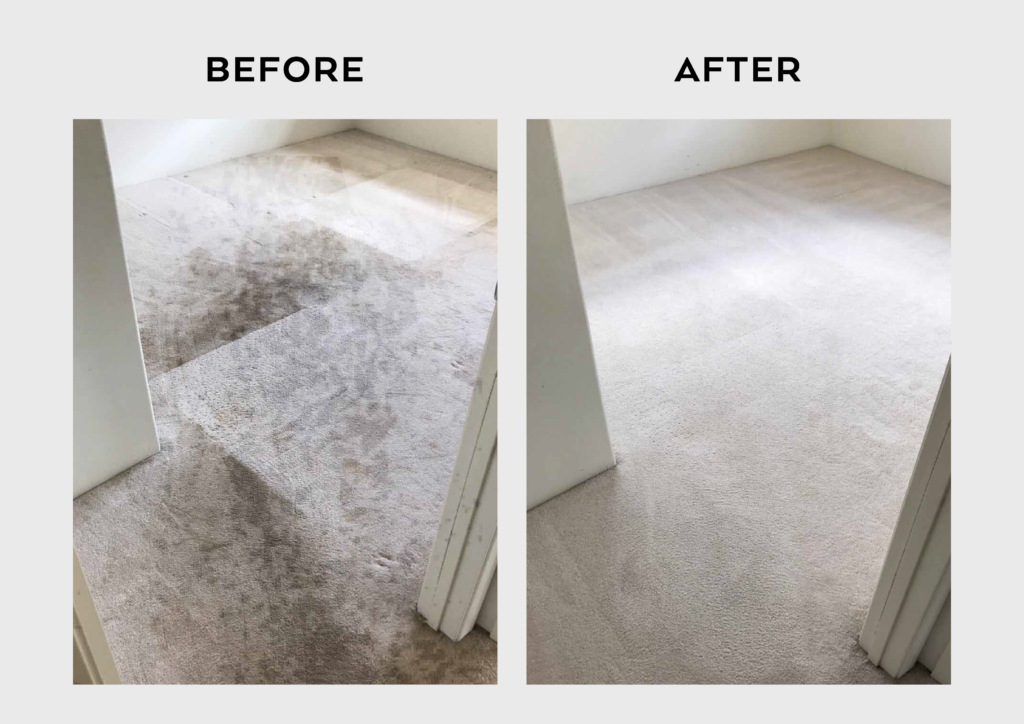 Carpet Cleaning in Dickerson