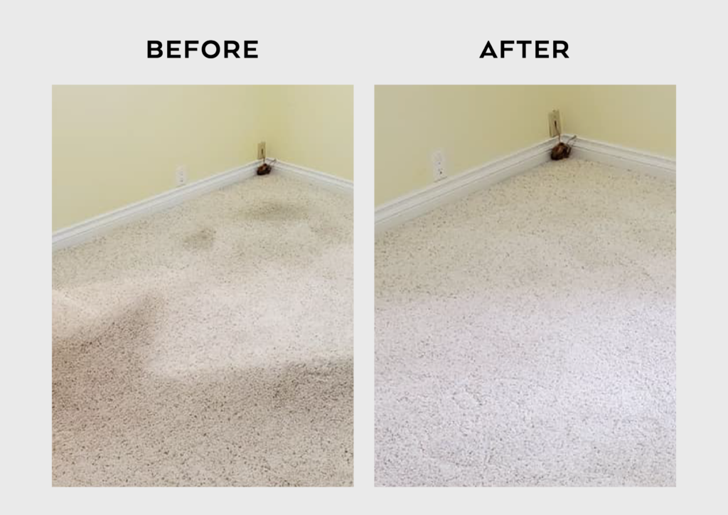 Carpet Cleaning in Chevy Chase