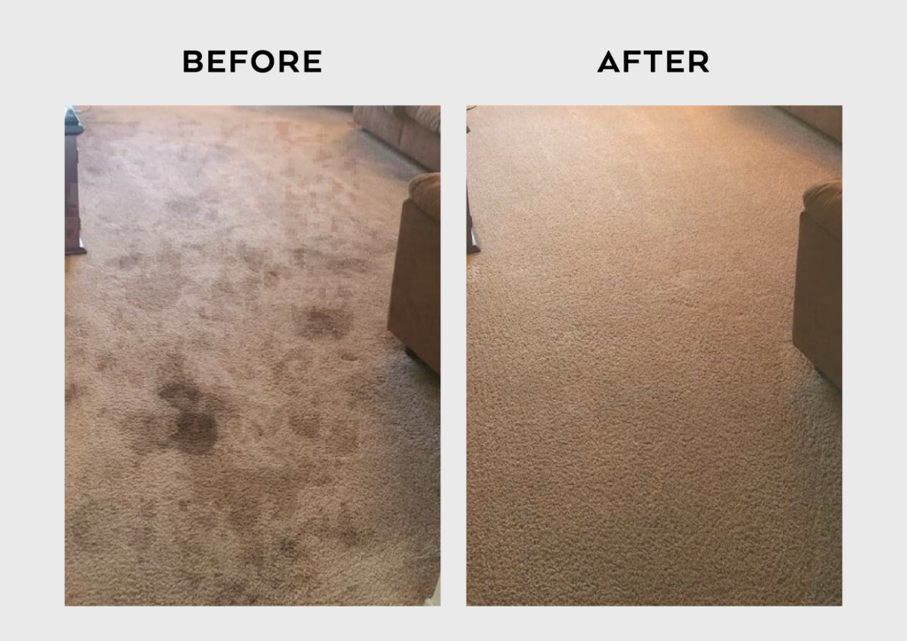 Carpet Cleaning in Clarksburg