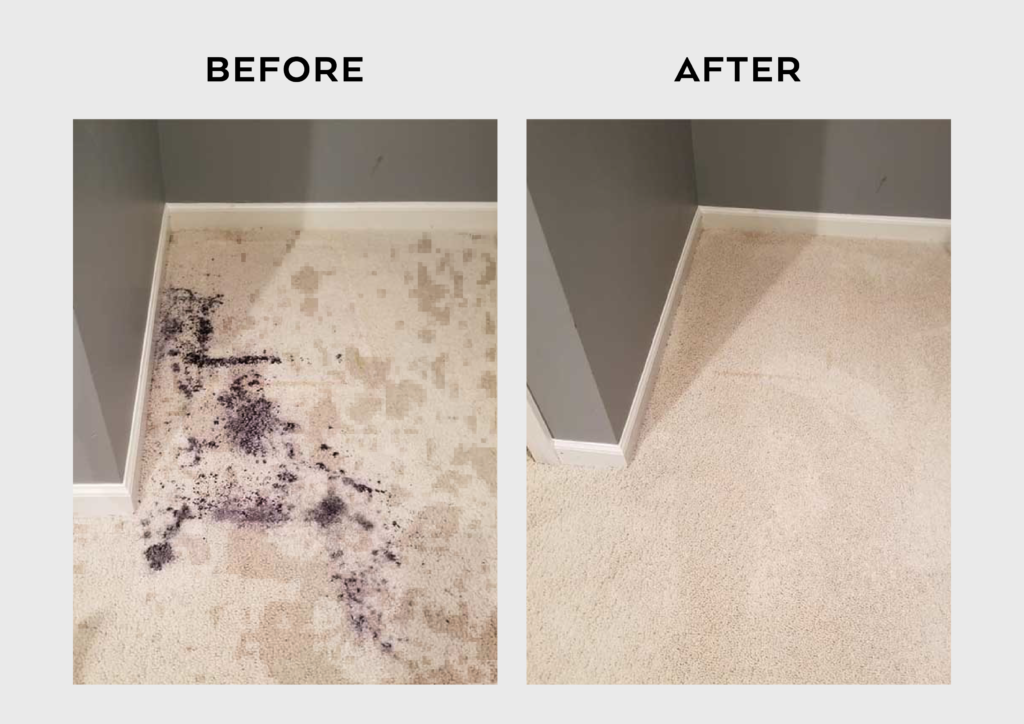 Carpet Cleaning in Chevy Chase