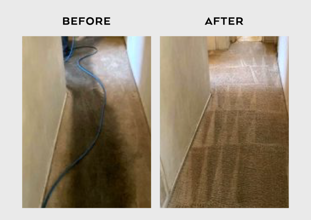 Carpet Cleaning in Cabin John