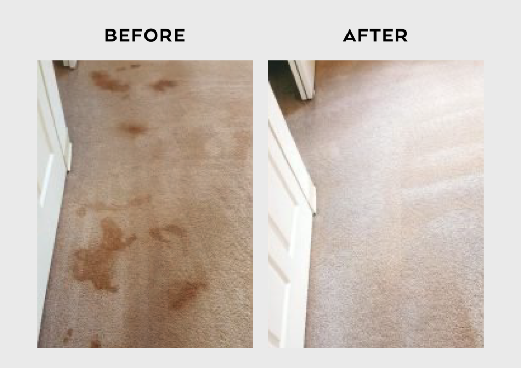 Carpet Cleaning in Burtonsville