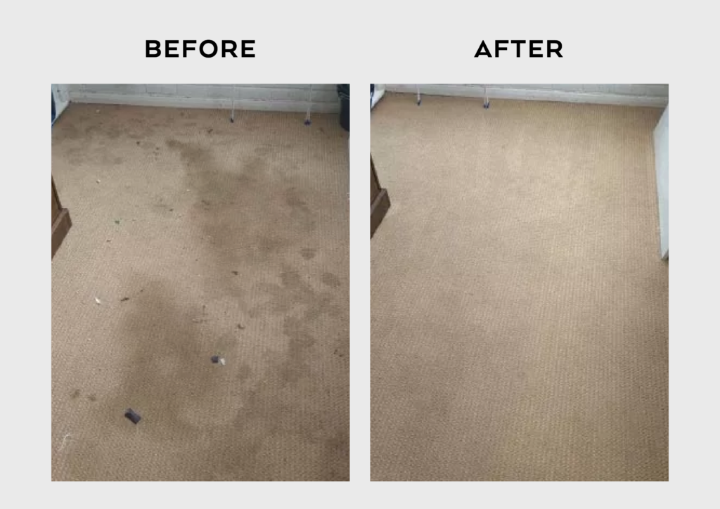 Carpet Cleaning in Kensington