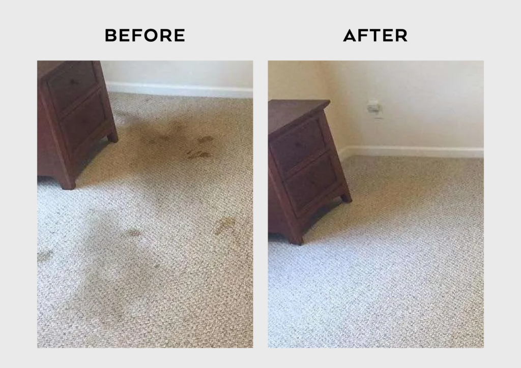 Carpet Cleaning in Brinklow