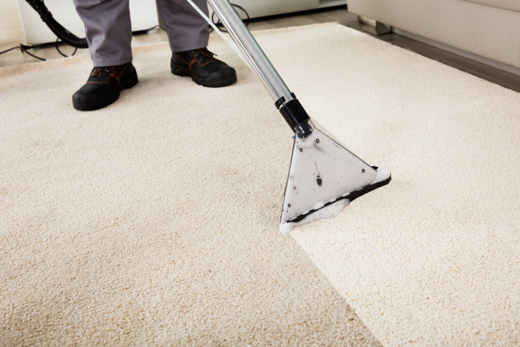 Professional Carpet Cleaning