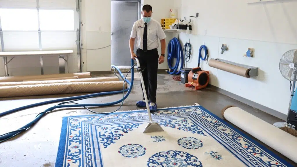 Carpet Cleaning