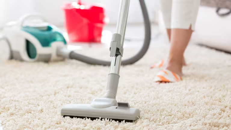 Find the best carpet washer near you for deep cleaning.