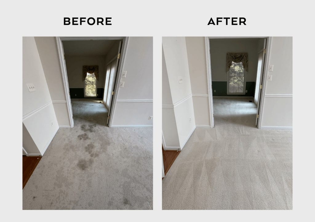 Carpet Cleaning Results - Xtream Cleans 3