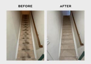 Carpet Cleaning Results - Xtream Cleans