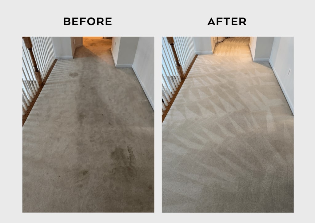 Carpet Cleaning Results - Xtream Cleans 4