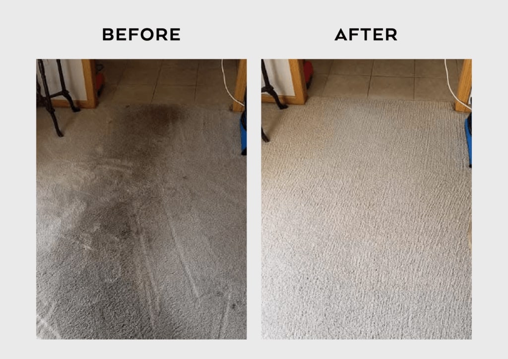 Carpet Cleaning Results - Xtream Cleans 6