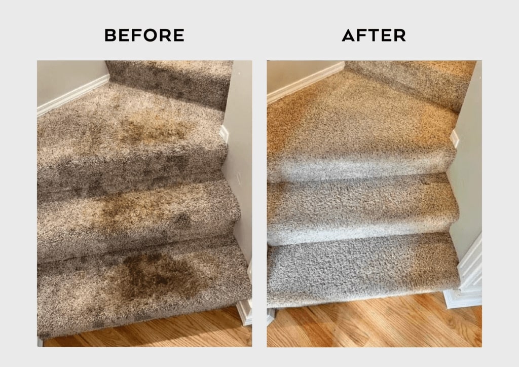 Carpet Cleaning Results - Xtream Cleans 7