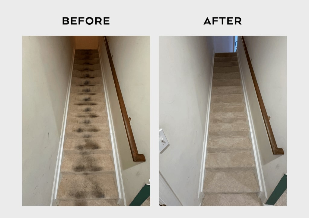 Carpet Cleaning Results - Xtream Cleans