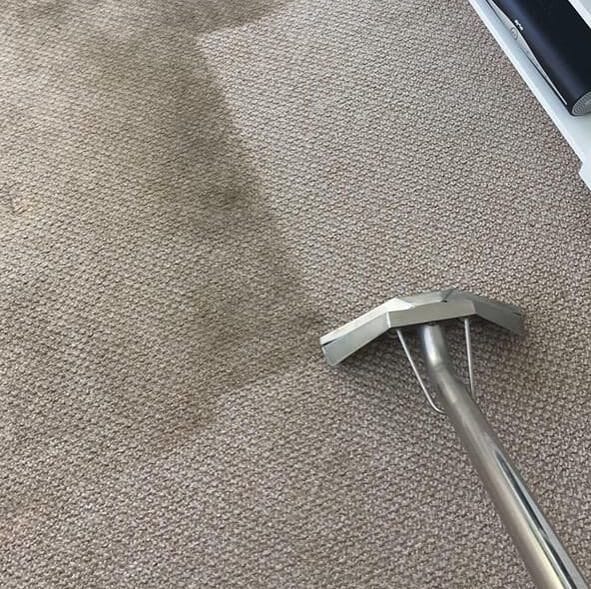 Extraction wand cleaning carpet on a real Xtreme Cleans Maryland job