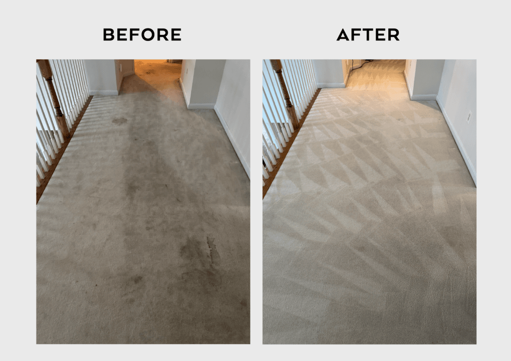 Before-and-after comparison of a stained and cleaned carpeted hallway