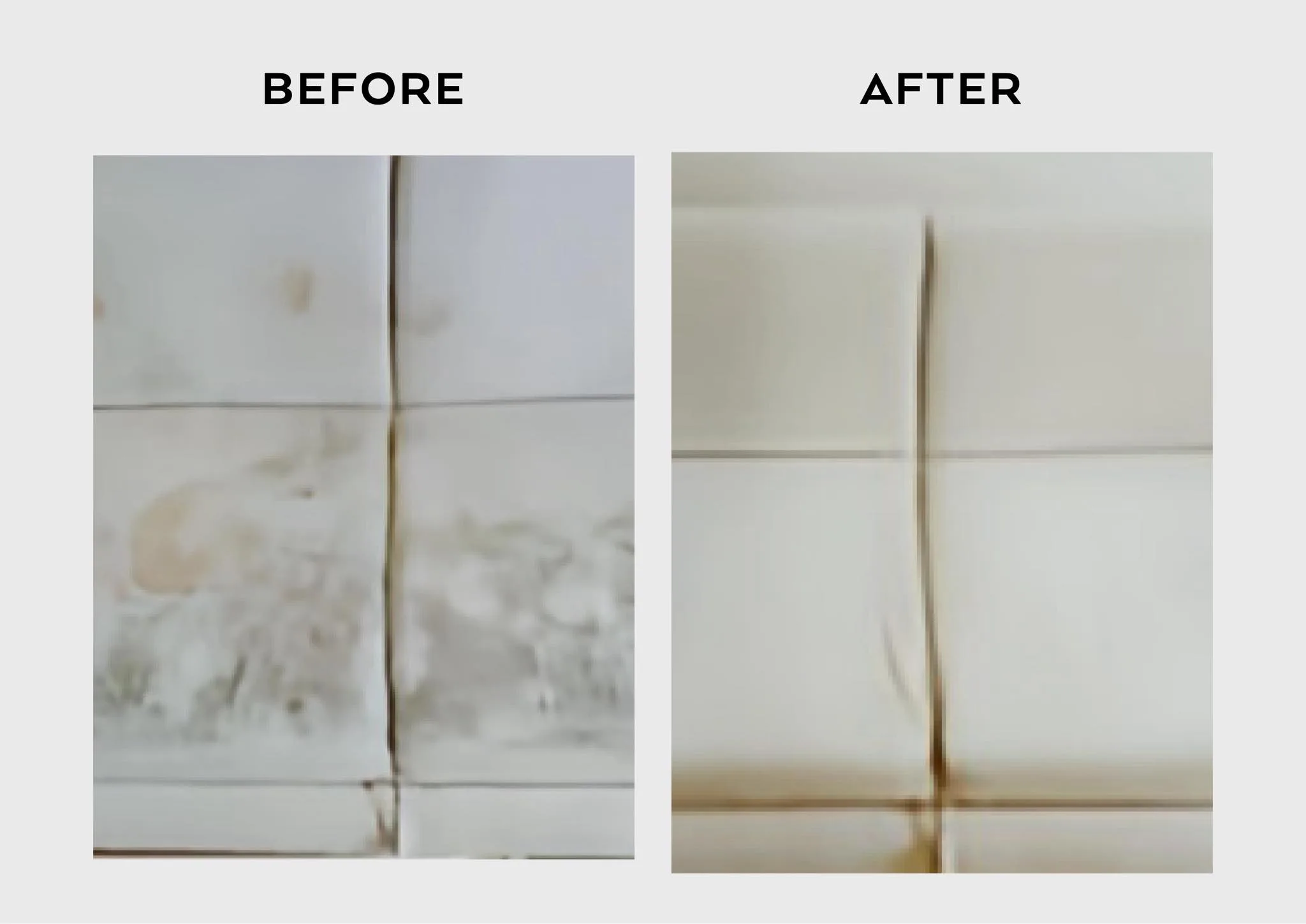 Xtreme Cleans Upholstery Cleans Portfolios