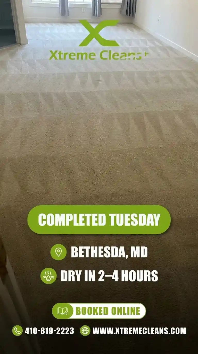 Carpet cleaning job