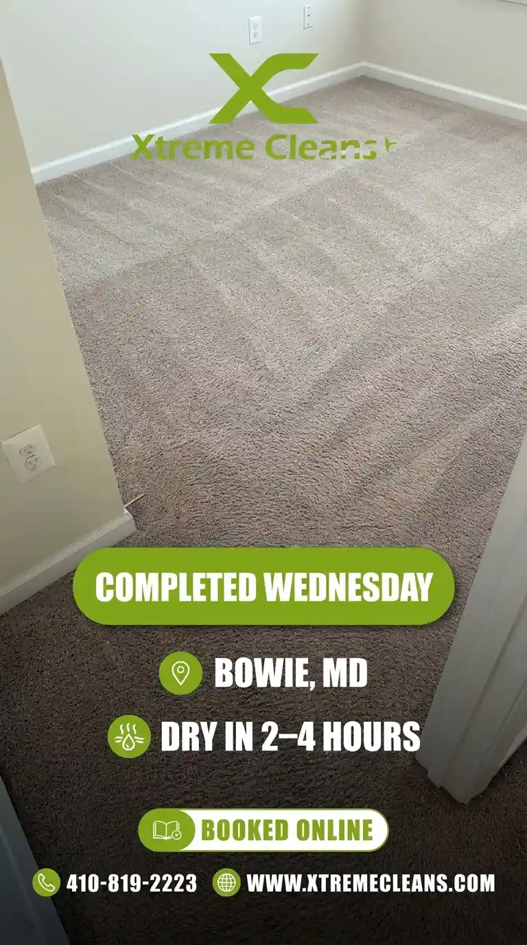 Carpet cleaning job