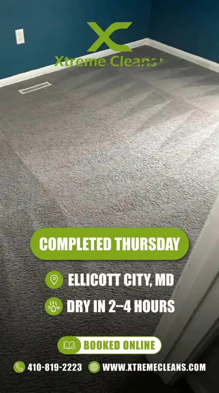 Carpet cleaning job