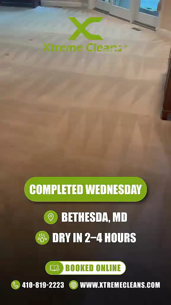 Carpet cleaning job in Bethesda MD