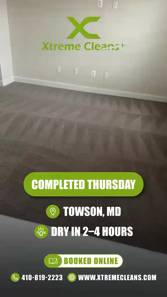 Carpet cleaning job in Towson MD