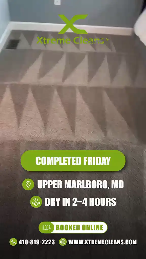 Carpet cleaning job in Upper Marlboro MD