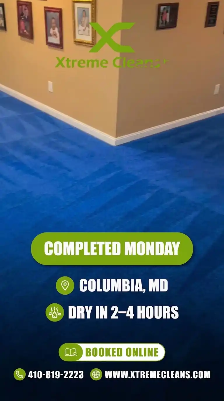 Real carpet cleaning job in progress in a Maryland home