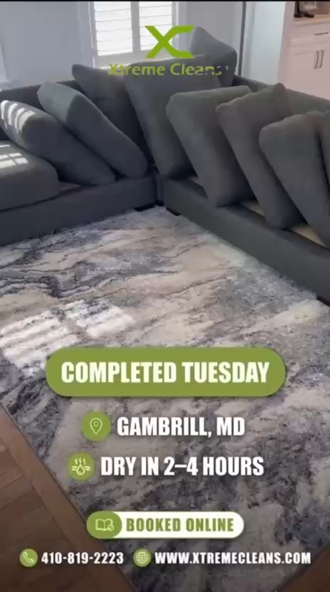 Upholstery cleaning case study in Gambrills MD